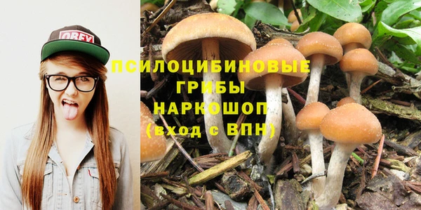 прущая мука Армянск