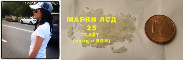 шишки Аркадак