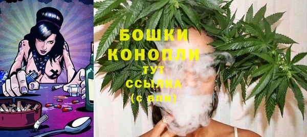 шишки Аркадак