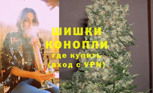 шишки Аркадак